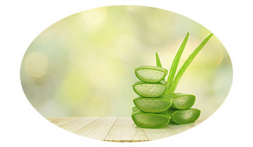 kern-aloe kern-aloe